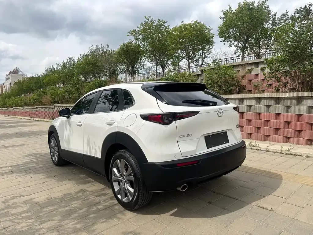 Mazda CX-30 2022 из CN, фото 8