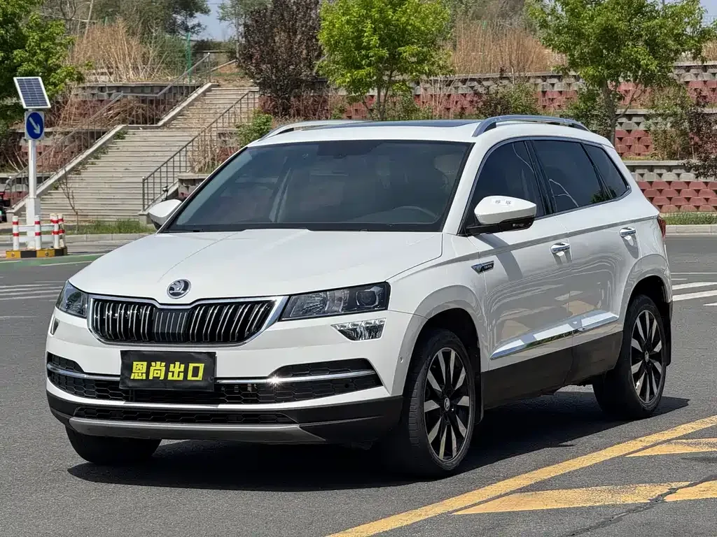 Skoda Karoq 2021 из CN, фото 9