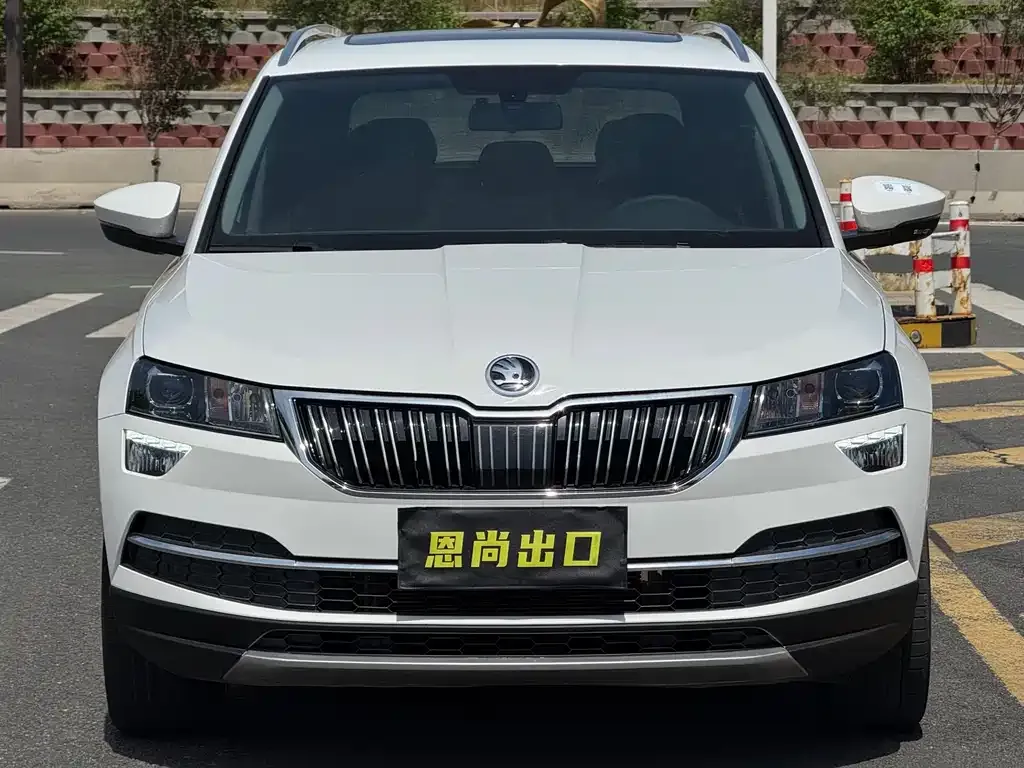 Skoda Karoq 2021 из CN, фото 3
