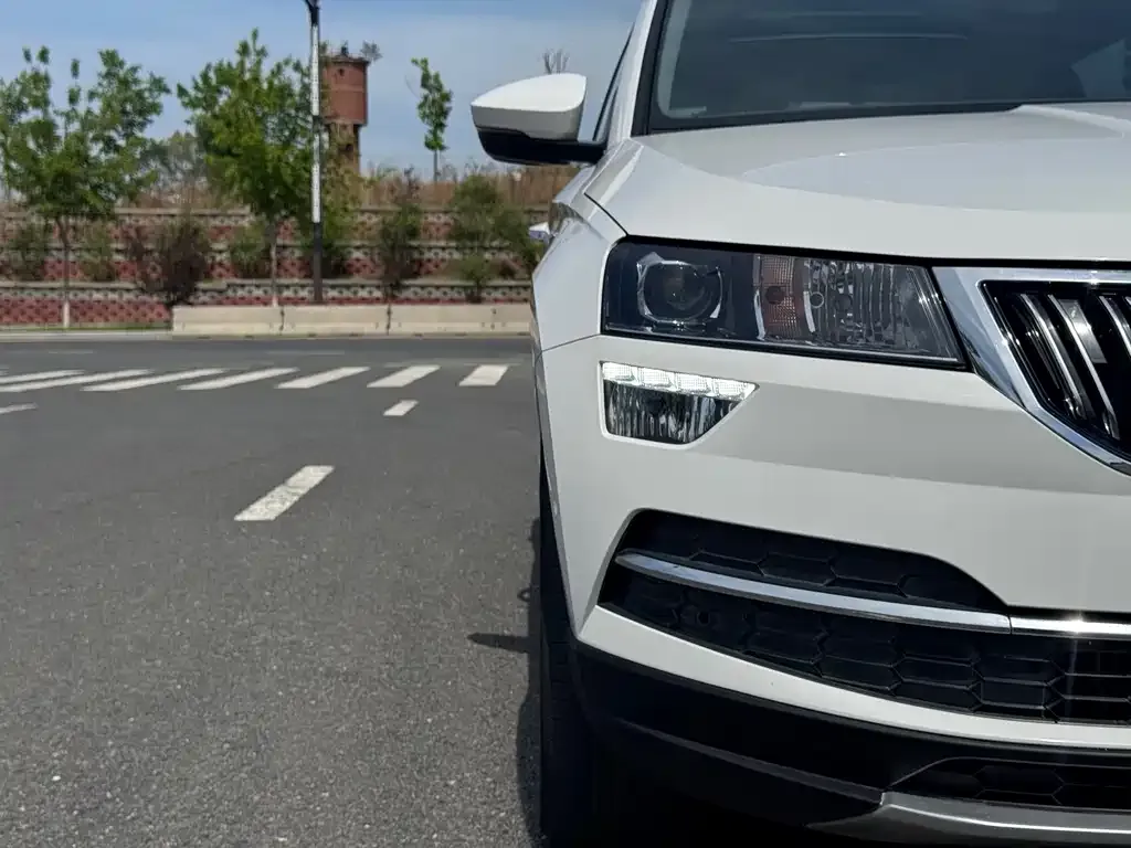 Skoda Karoq 2021 из CN, фото 4