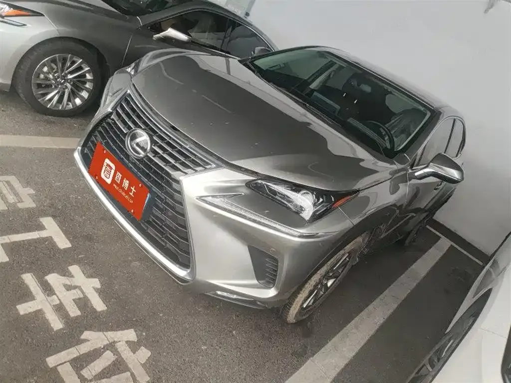 Lexus NX 2021 из CN, фото 5