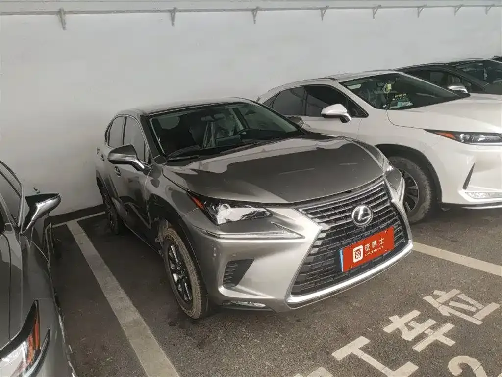 Lexus NX 2021 из CN, фото 4