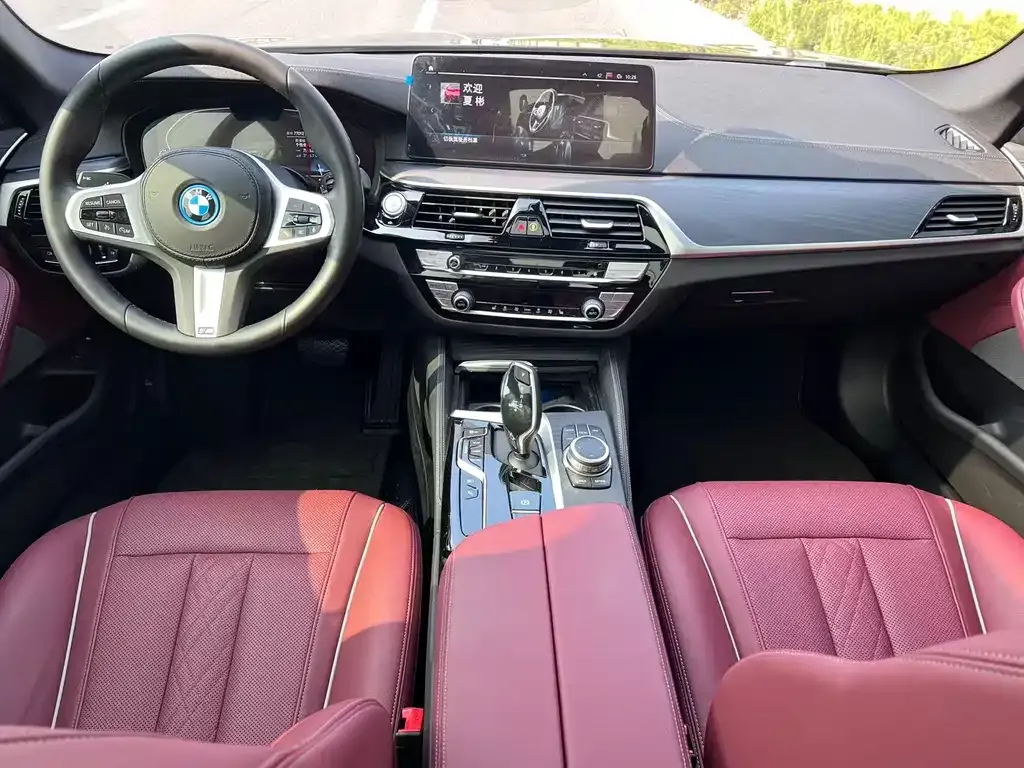 BMW 5 Series New Energy — фото 6