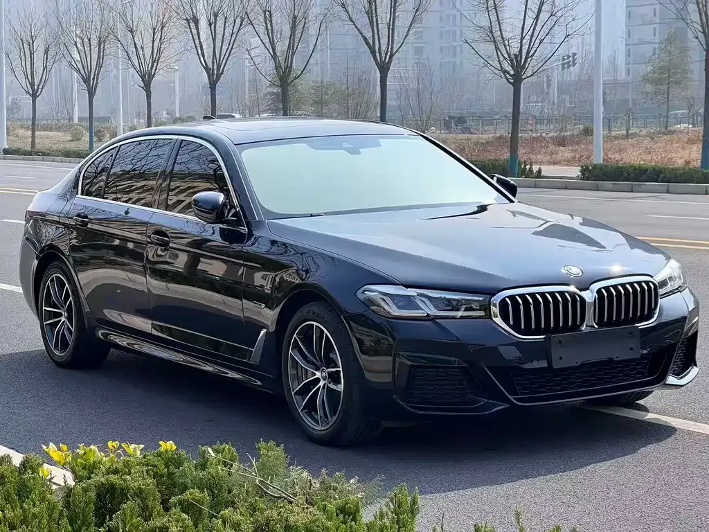 BMW 5 Series New Energy — фото 8