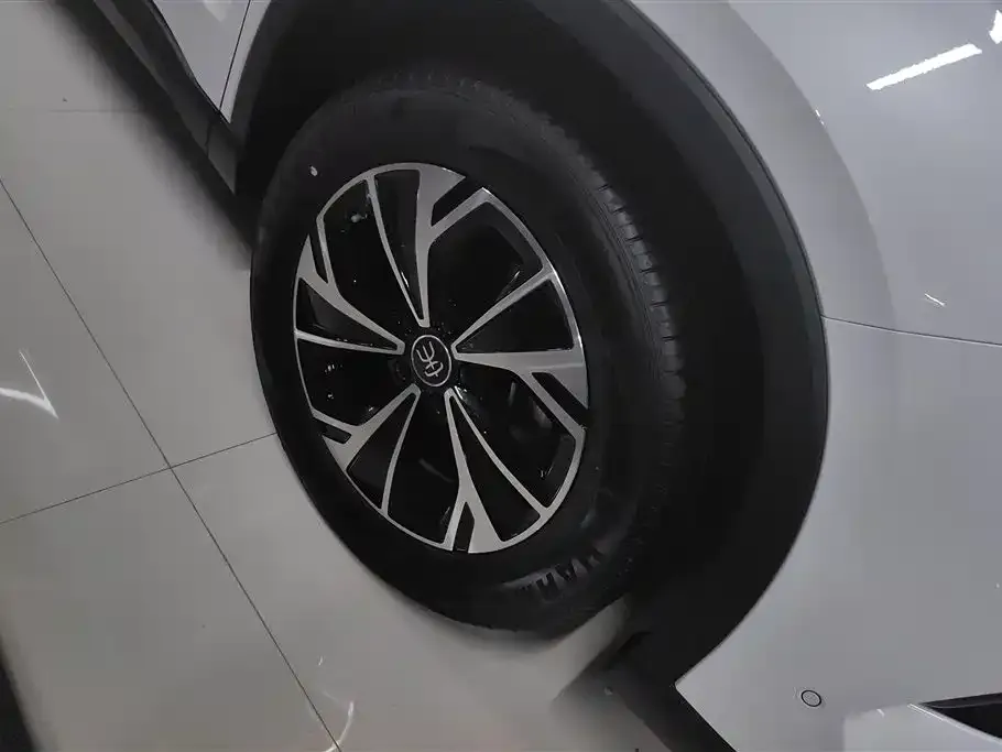 BYD Pro New Energy — фото 9