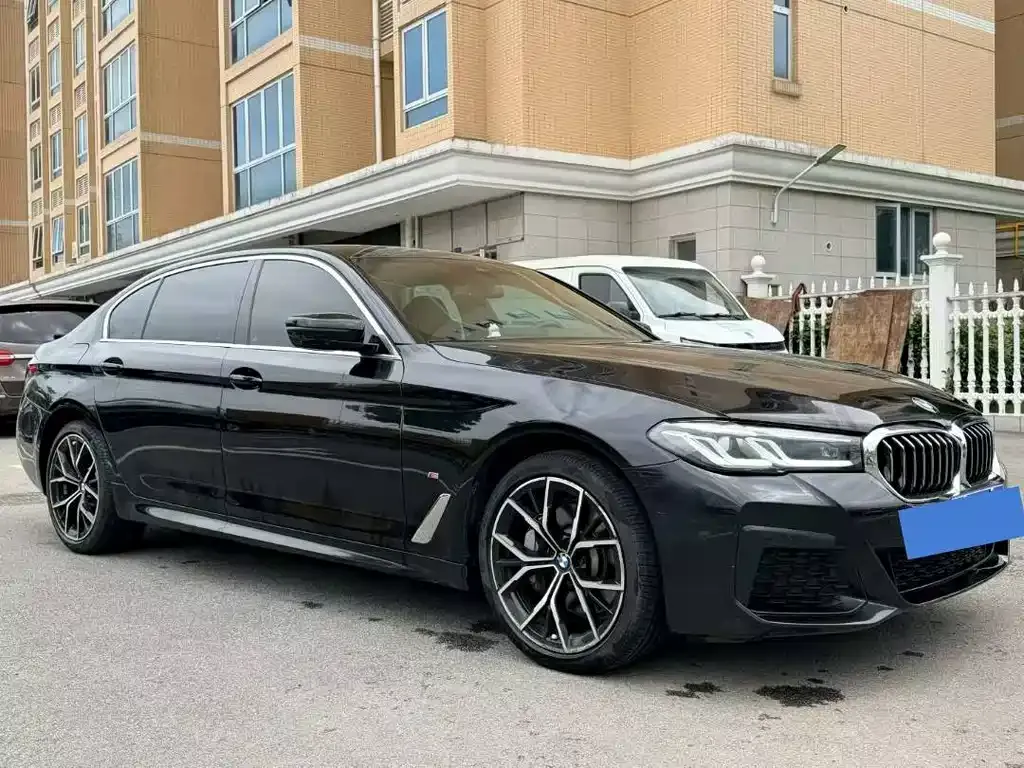 BMW 5 Series 2022 из CN, фото 6