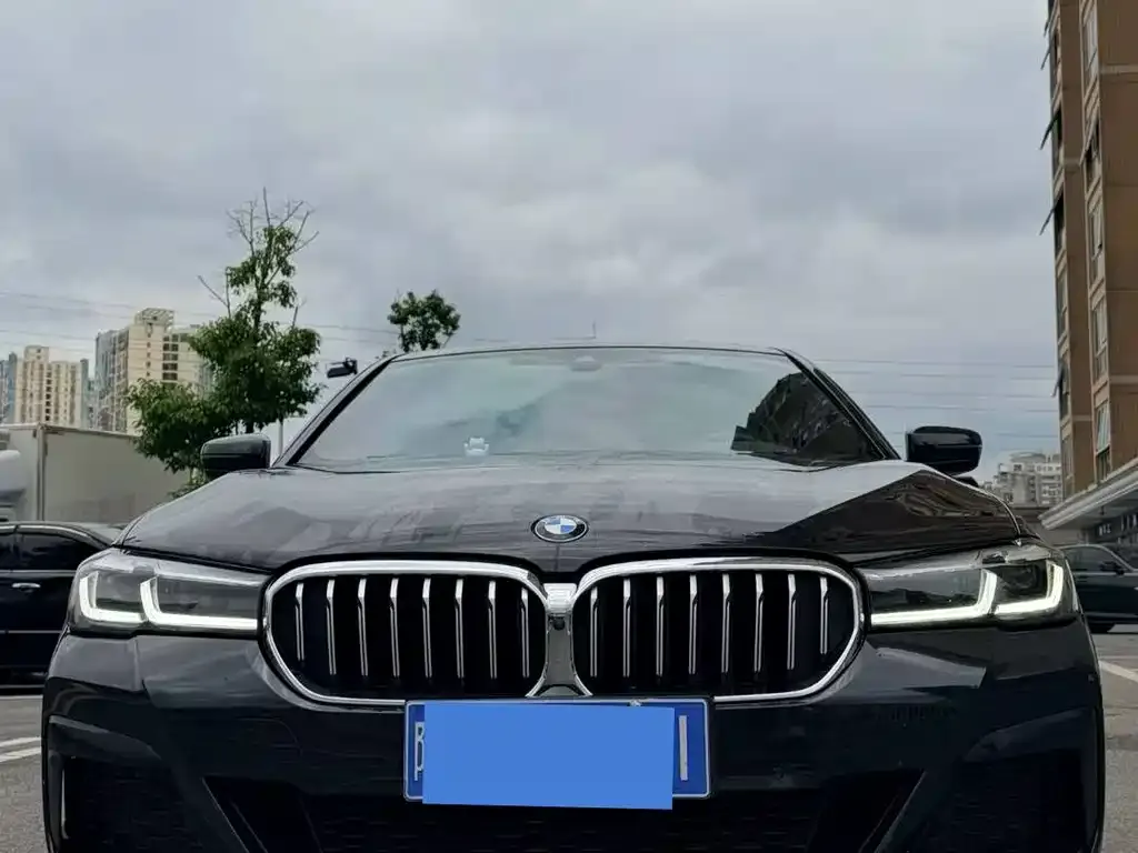 BMW 5 Series 2022 из CN, фото 2