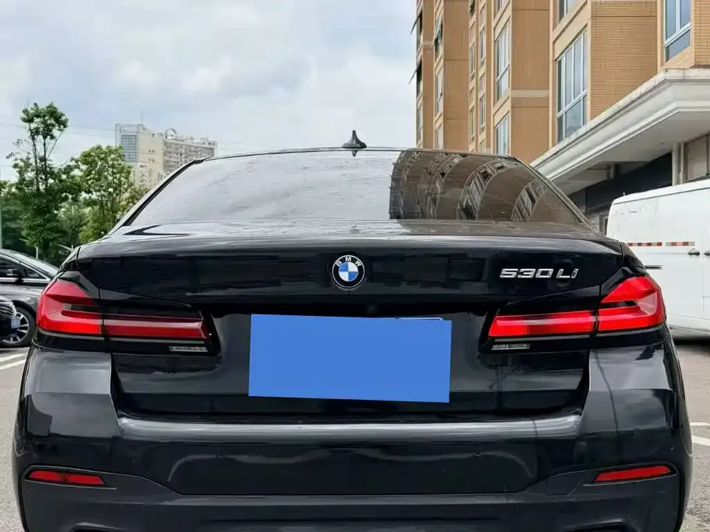 BMW 5 Series 2022 из CN, фото 4