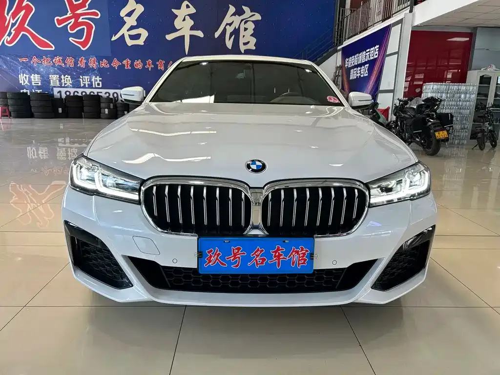 BMW 5 Series 2021 из CN, фото 2