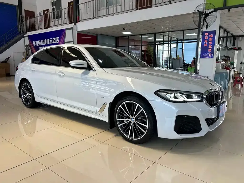 BMW 5 Series 2021 из CN, фото 5