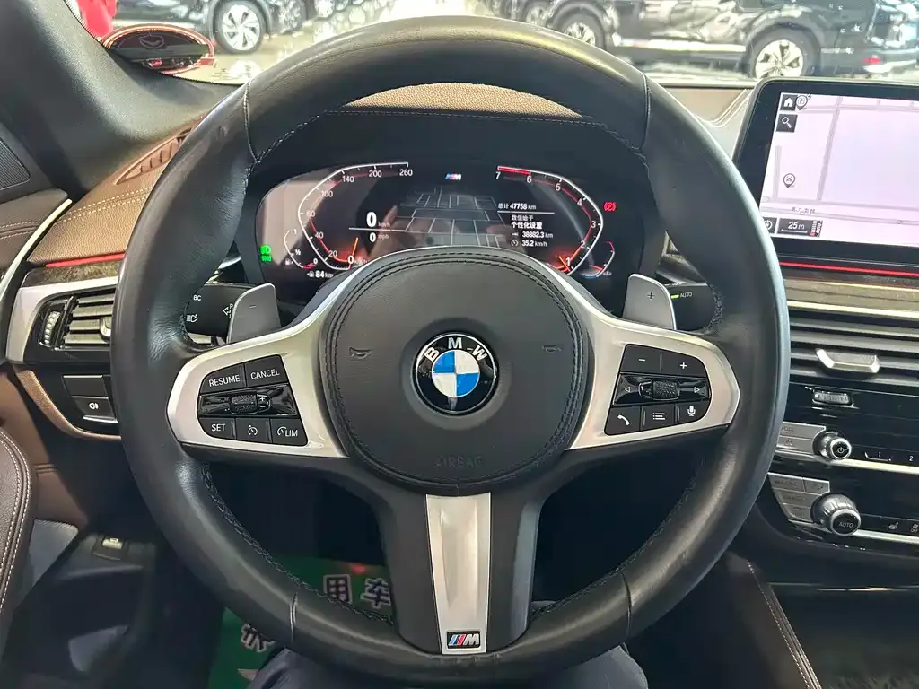 BMW 5 Series 2021 из CN, фото 4