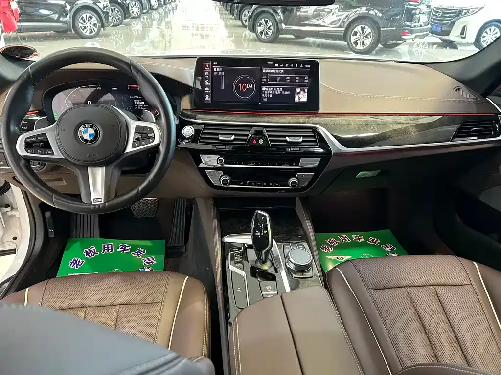 BMW 5 Series 2021 из CN, фото 10