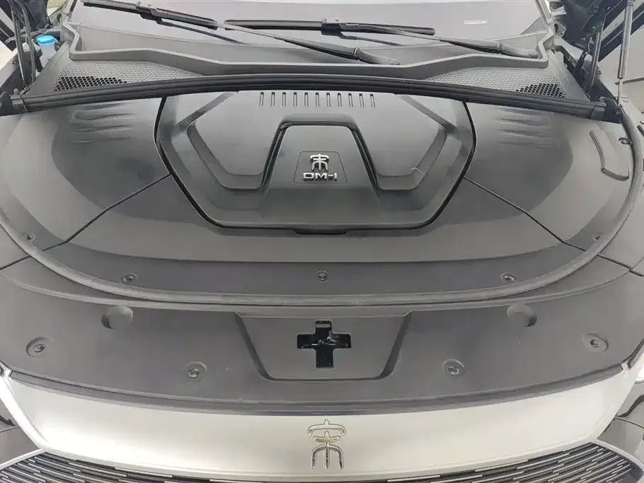 BYD PLUS New Energy — фото 10