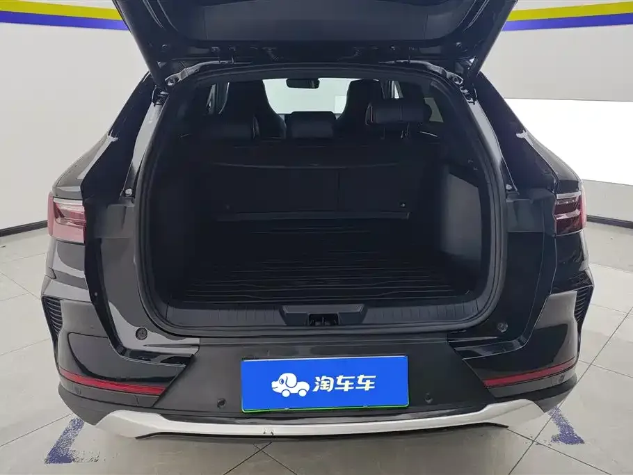 BYD PLUS New Energy — фото 5