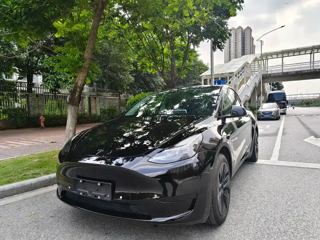 Tesla Model Y — фото 1