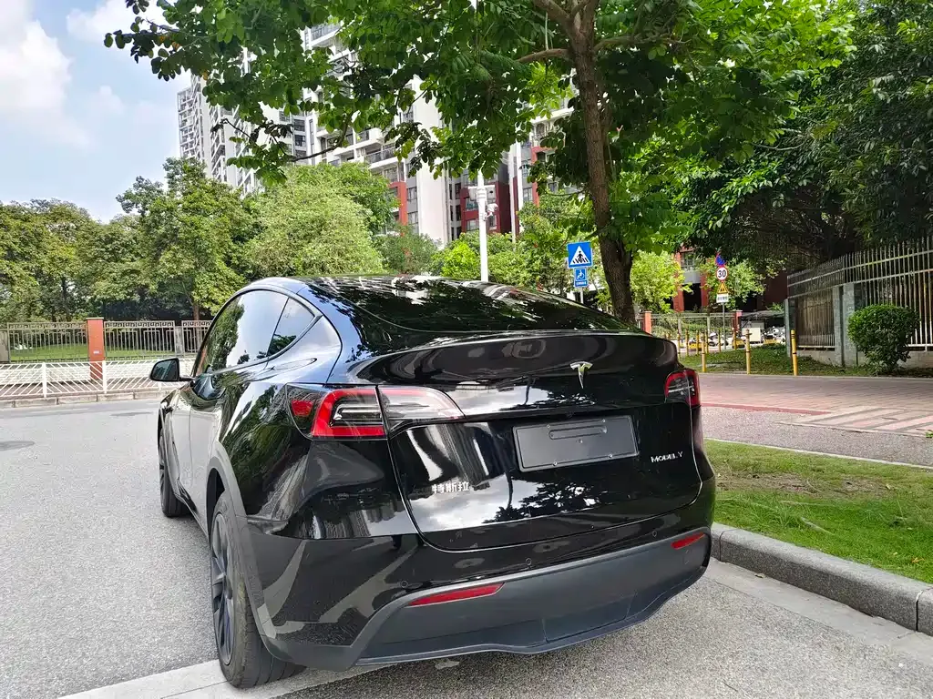 Tesla Model Y — фото 4