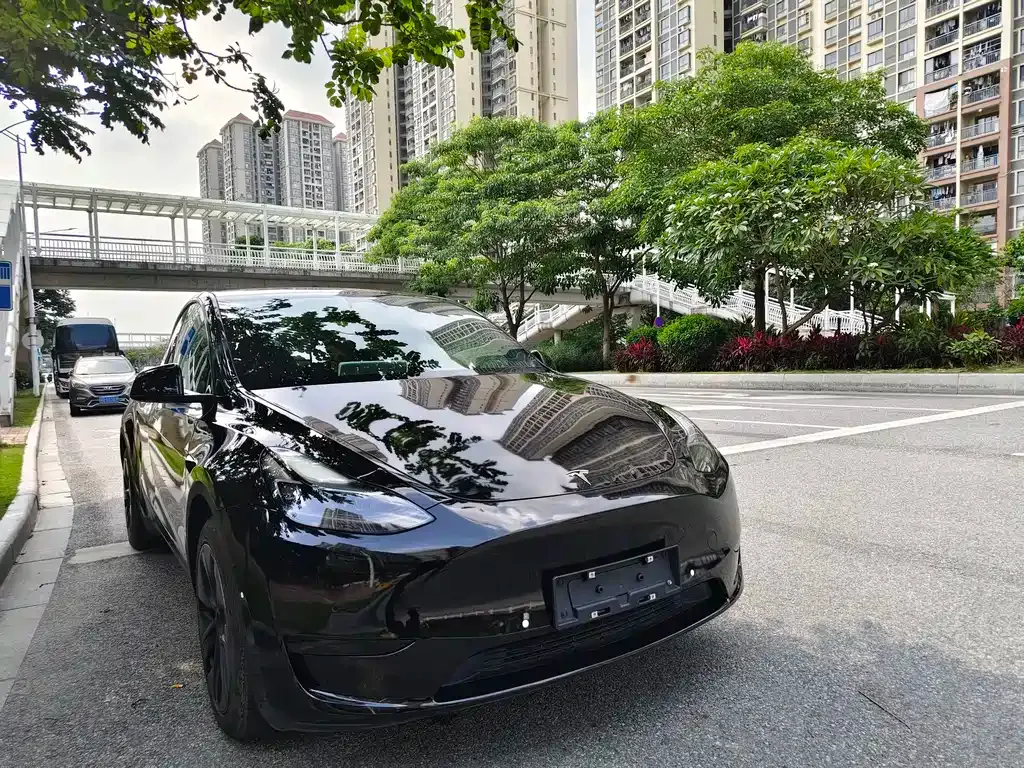 Tesla Model Y — фото 6