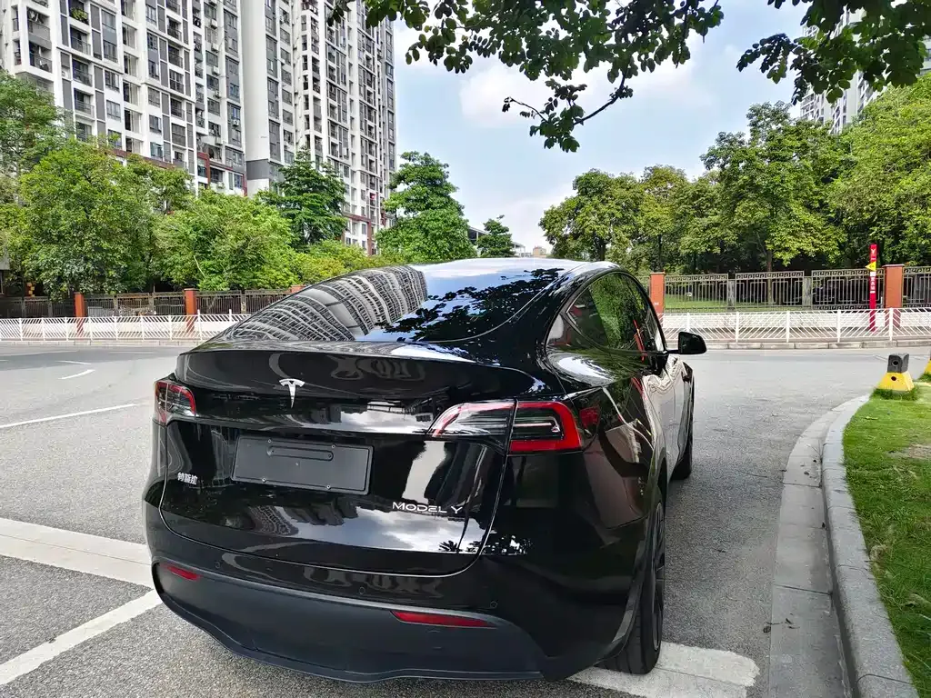 Tesla Model Y — фото 3