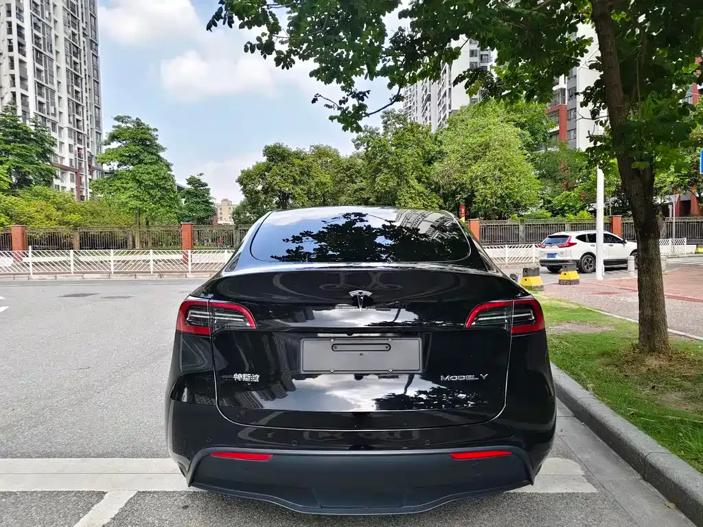 Tesla Model Y — фото 2