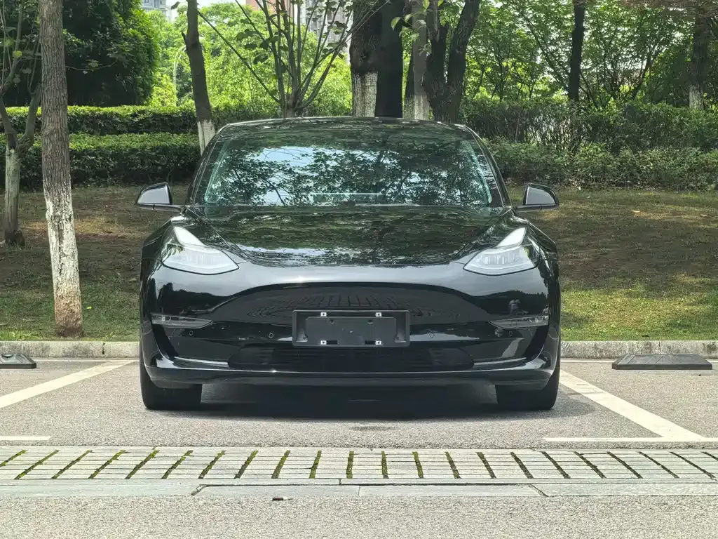 Tesla Model 3 — фото 5