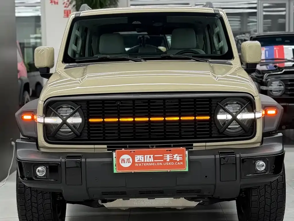Tank 300 New Energy 2025 из CN, фото 10