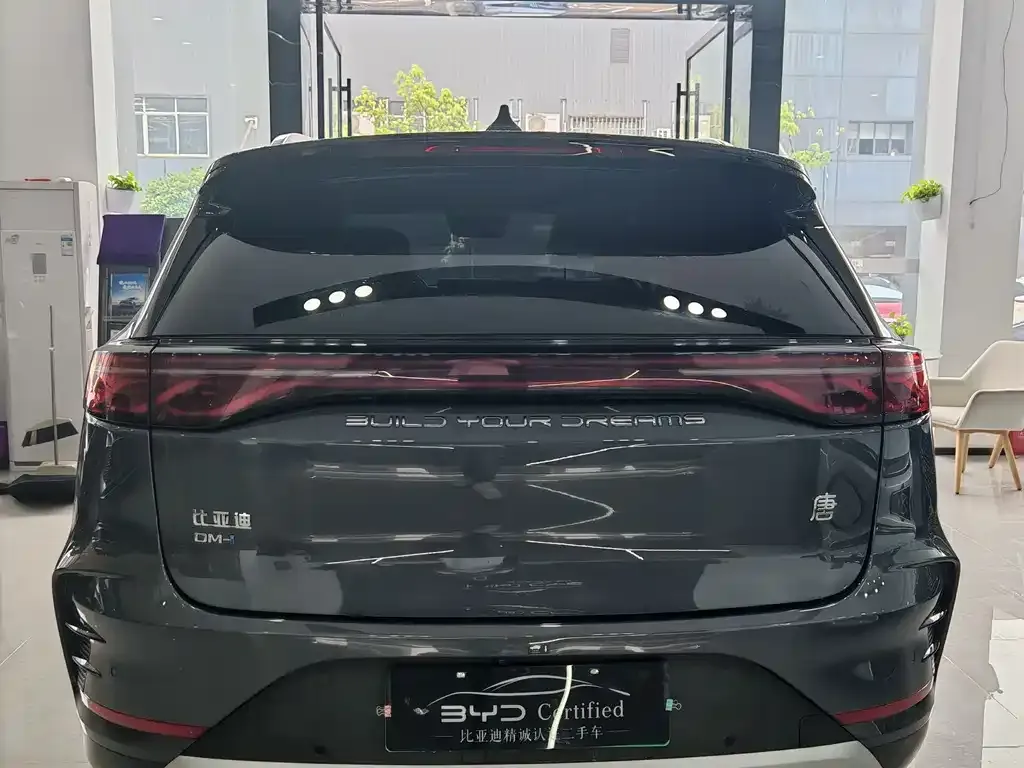 BYD Tang New Energy — фото 10