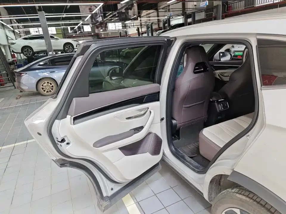 BYD PLUS New Energy — фото 8