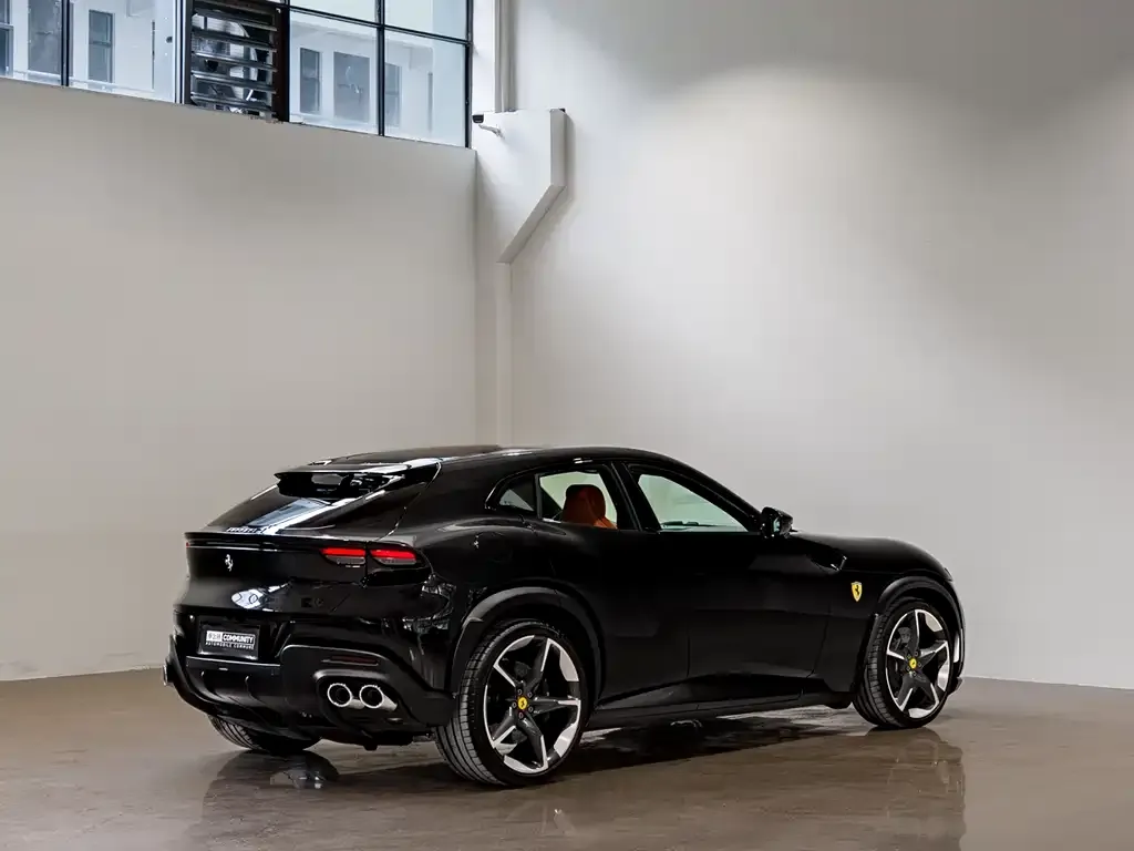 Ferrari Purosangue 2024 из CN, фото 10