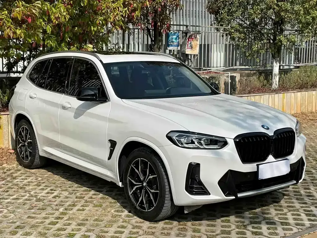 BMW X3 — фото 5