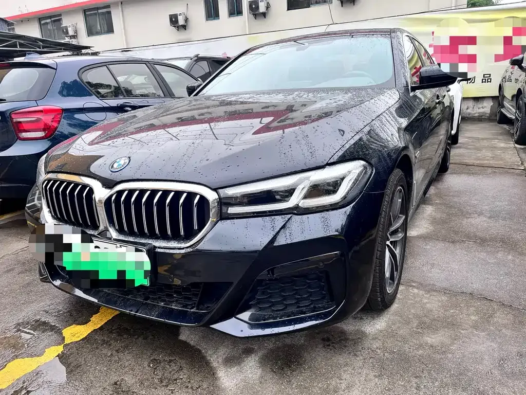BMW 5 Series New Energy