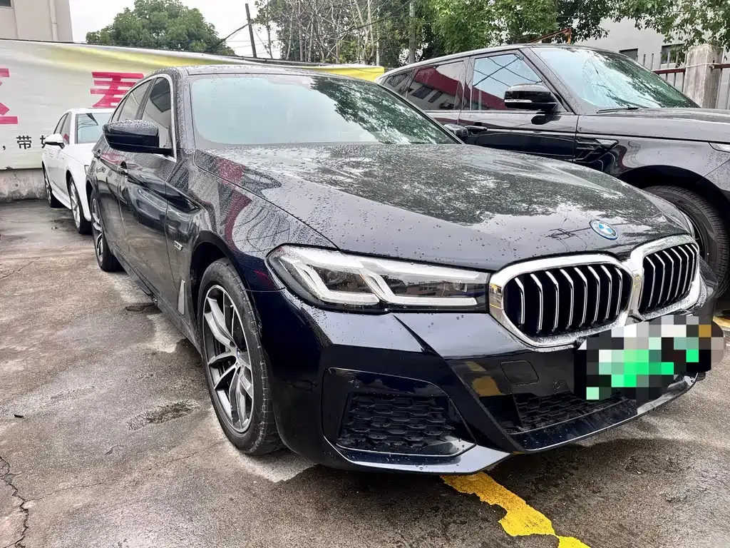 BMW 5 Series New Energy 2023 из CN, фото 6