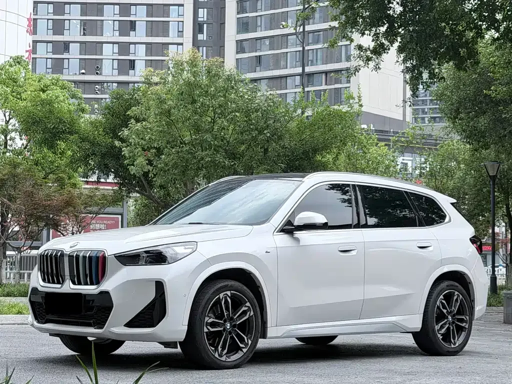 BMW X1 — фото 1