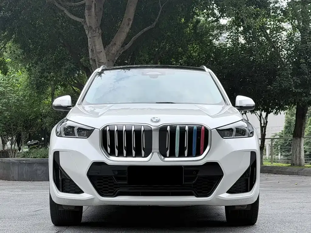 BMW X1 — фото 10