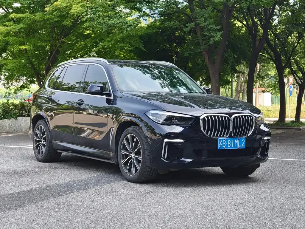BMW X5 2023 из CN, фото 9