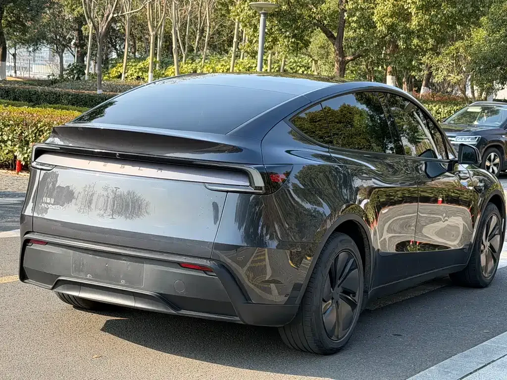 Tesla Model Y — фото 10