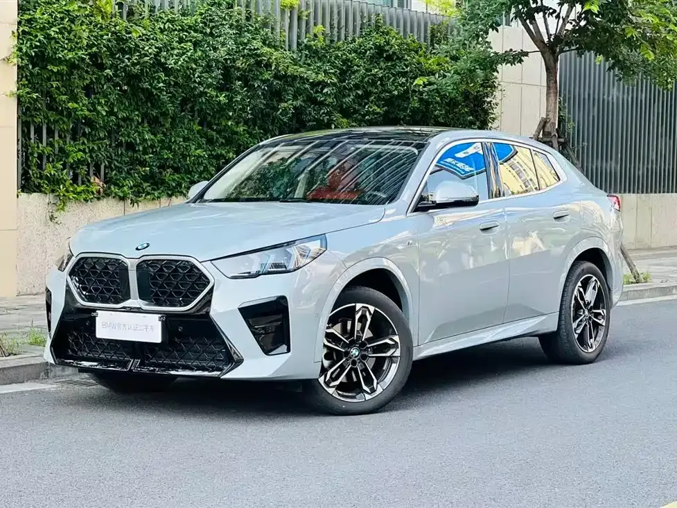 BMW X2 (Import) — фото 1