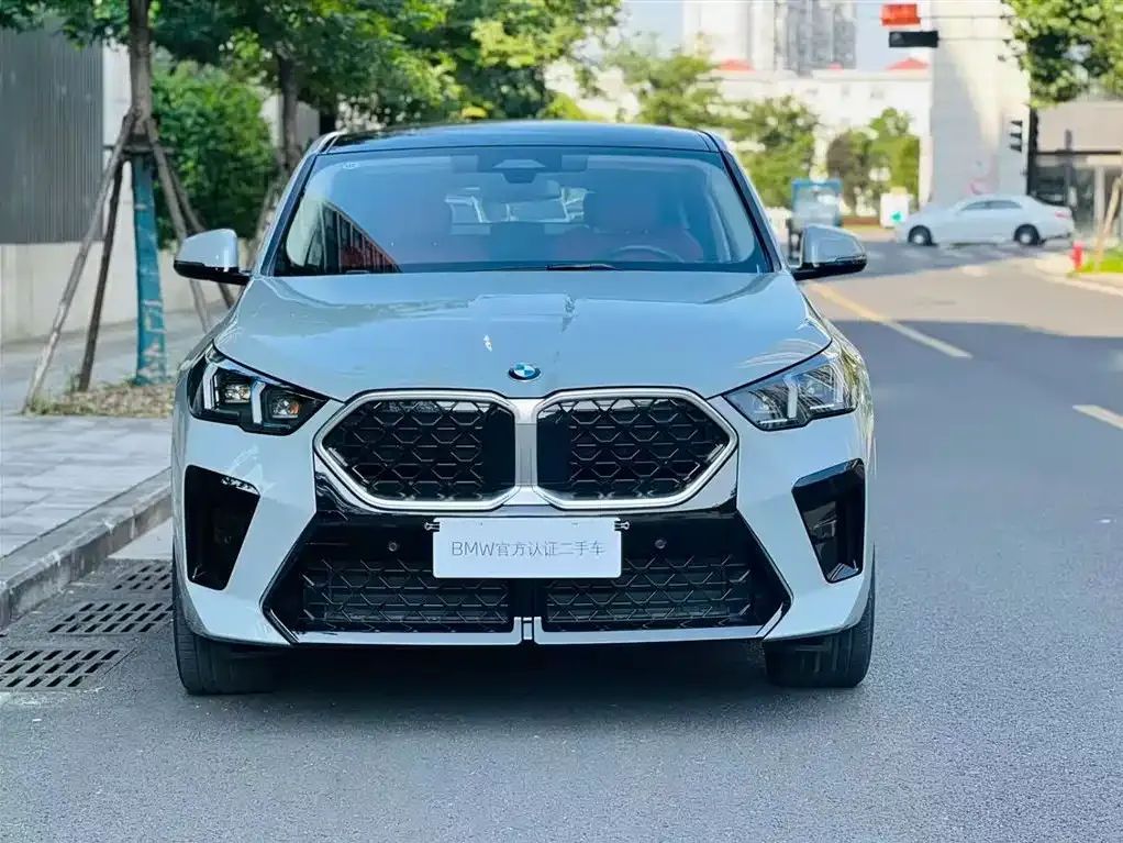 BMW X2 (Import) — фото 7