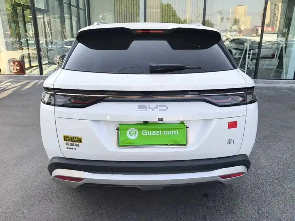 BYD L DM-i 2024 из CN, фото 6