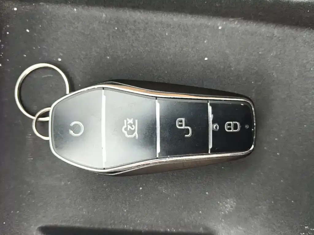 BYD L DM-i 2024 из CN, фото 2