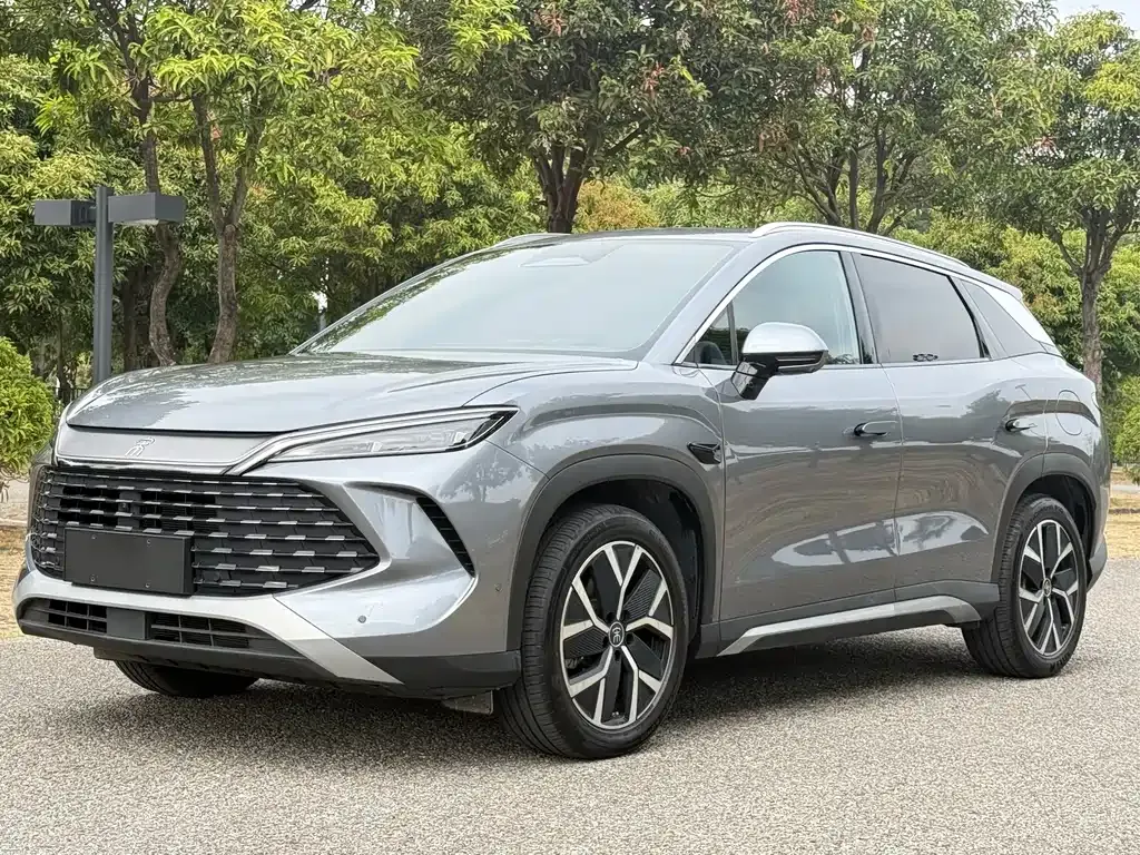 BYD L DM-i — фото 1