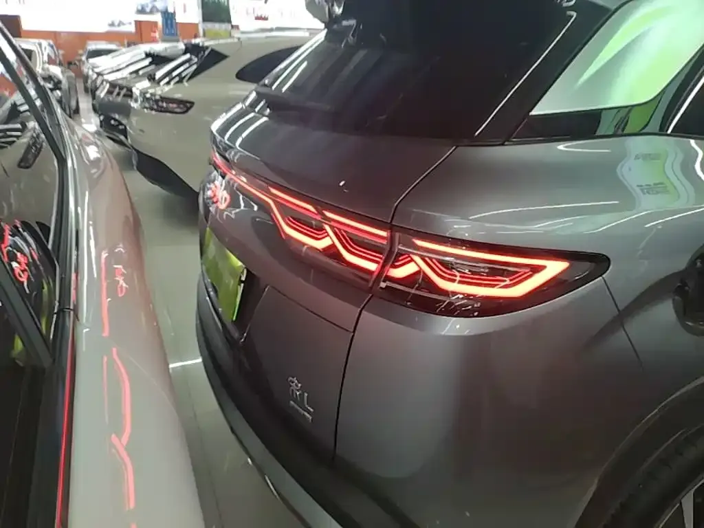BYD L DM-i — фото 8