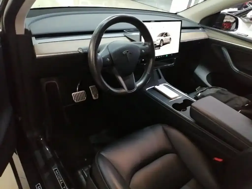 Tesla Model Y — фото 9