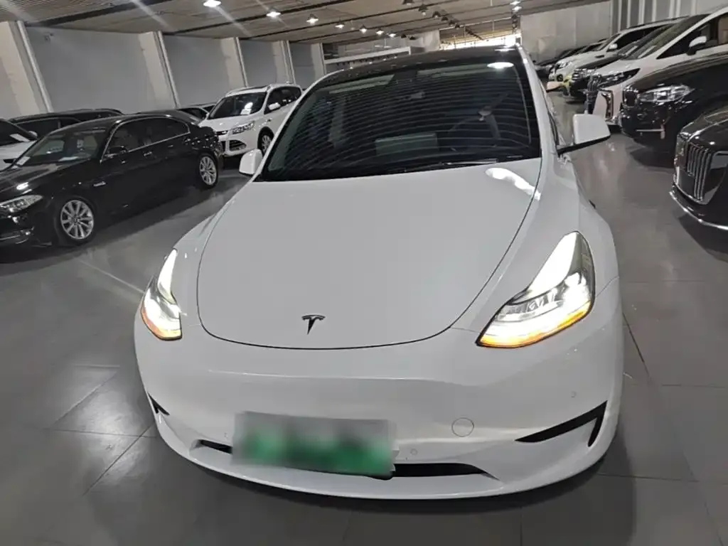 Tesla Model Y — фото 2