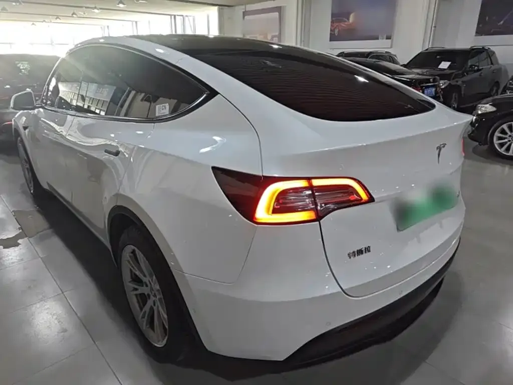 Tesla Model Y — фото 9