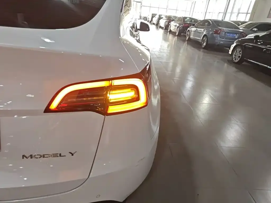 Tesla Model Y — фото 10