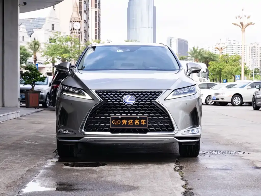 Lexus RX — фото 10