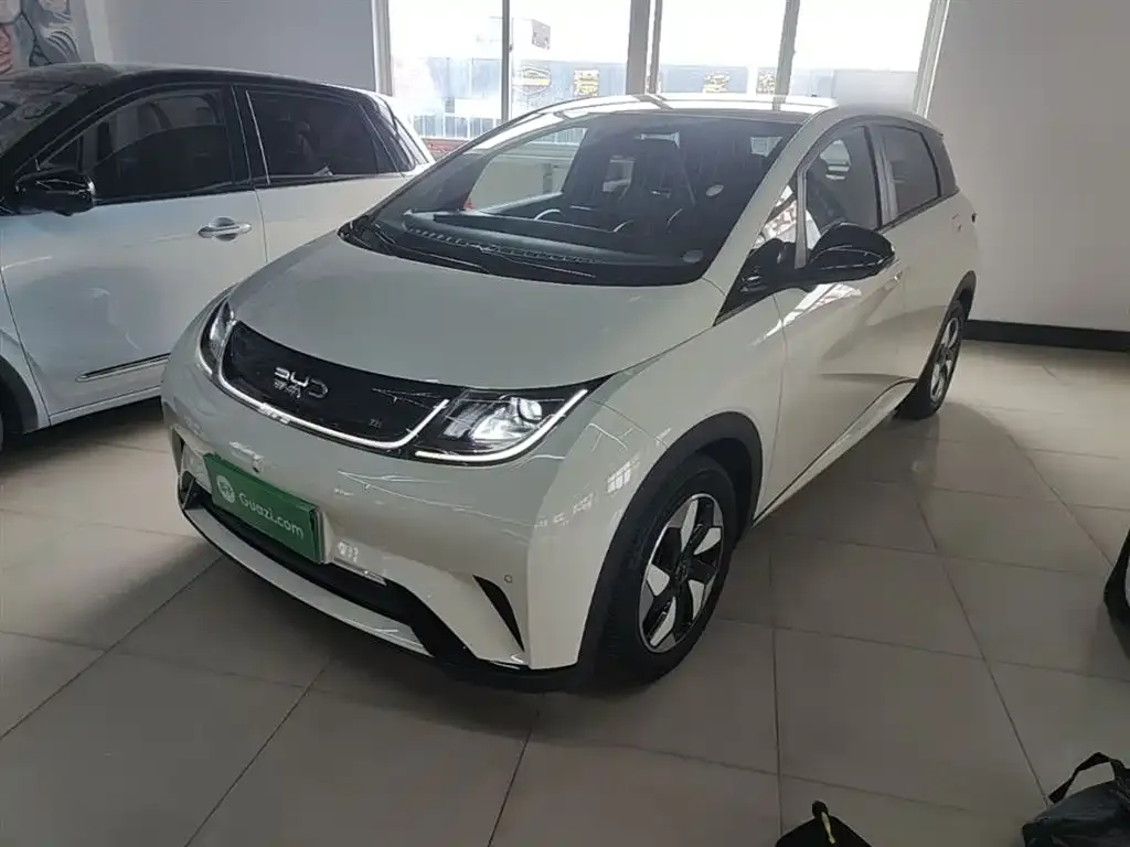 BYD Dolphin 2024 из CN, фото 2