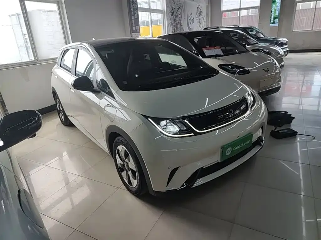 BYD Dolphin 2024 из CN, фото 8