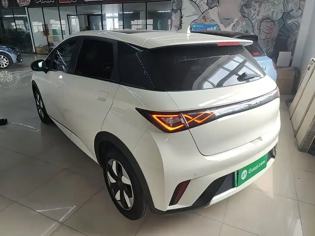 BYD Dolphin 2024 из CN, фото 9