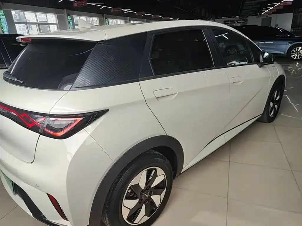BYD Dolphin 2024 из CN, фото 4